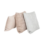 Sand Clam