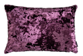 Deep Purple Lumbar