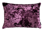 Deep Purple Lumbar