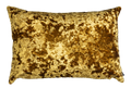 Gold Lumbar