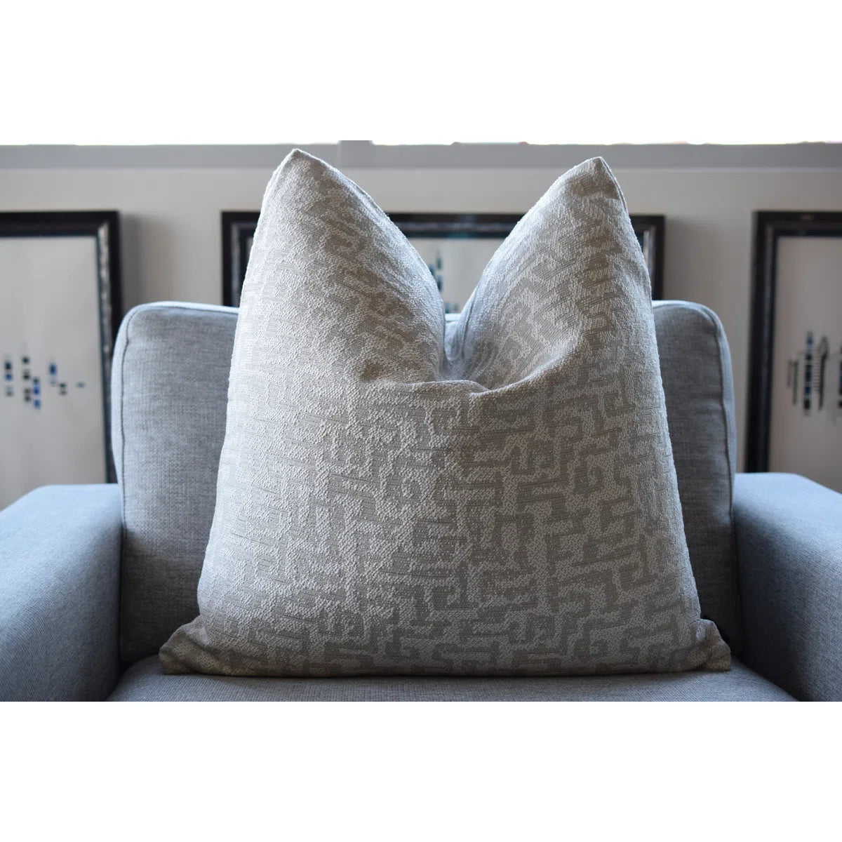 Water Maze Pillow Cover & Insert