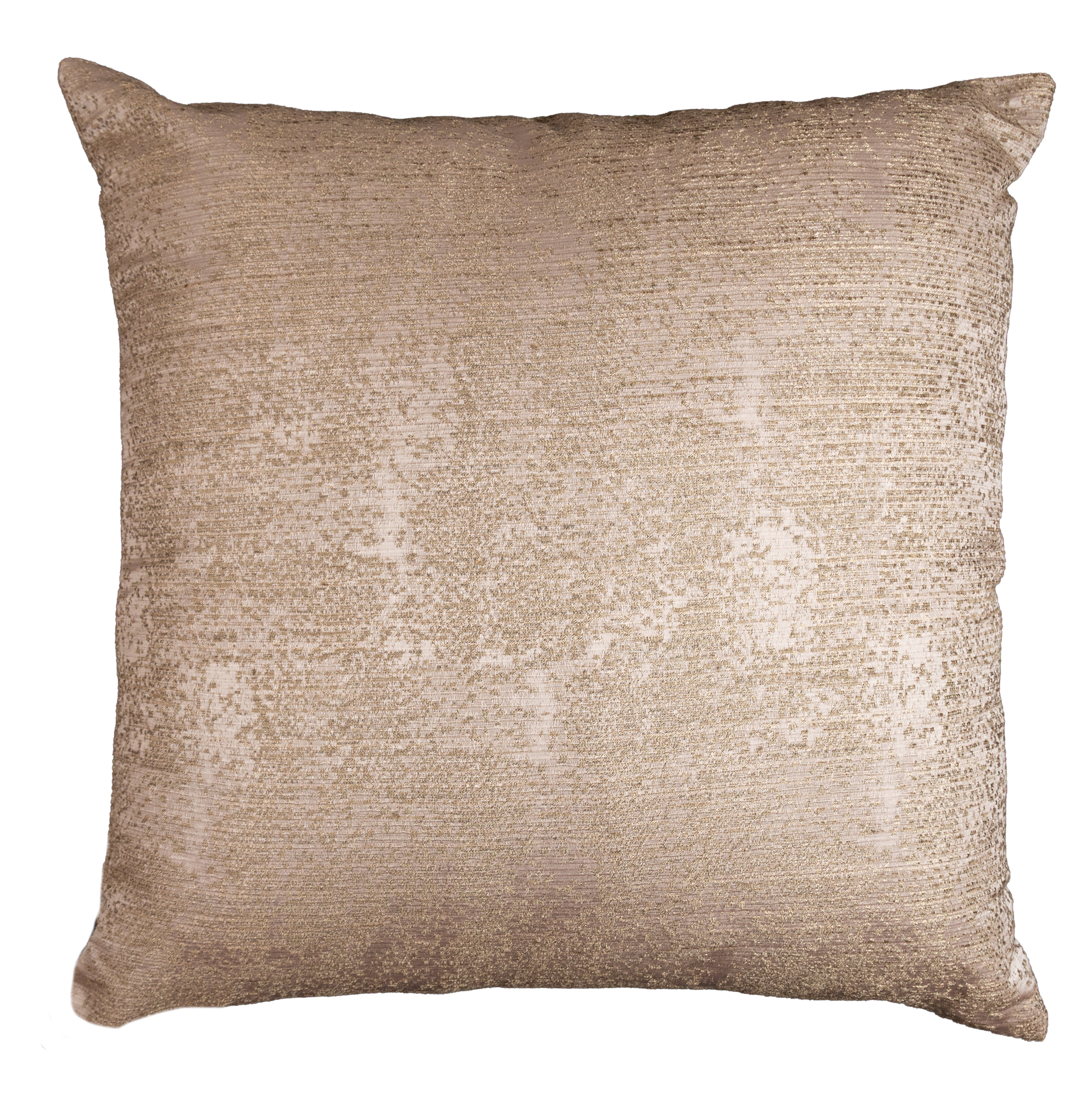 Sand Clam