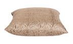 Sandbar Camel