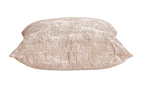 Sand Clam